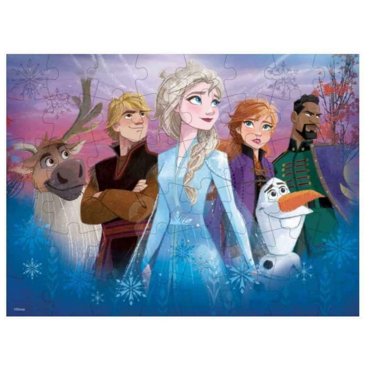 REINE DES NEIGES Set de 3 puzzles 3D